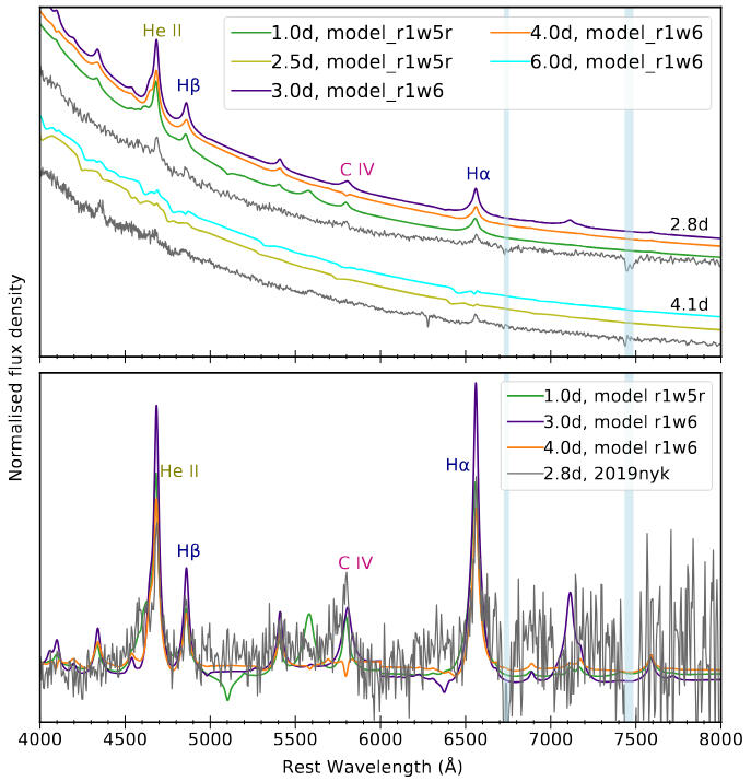 Comparison of the early spectra with literature models.